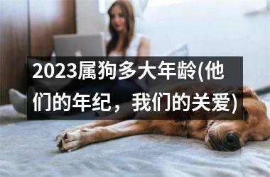 2025属狗多大年龄(他们的年纪，我们的关爱)