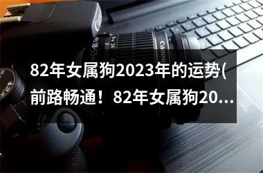 82年女属狗2025年的运势(前路畅通！82年女属狗2025年运势解析)