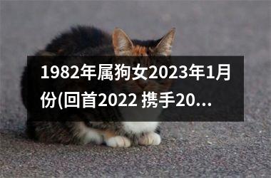 1982年属狗女2025年1月份(回首2025 携手2024：属狗女之路)