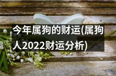 今年属狗的财运(属狗人2025财运分析)