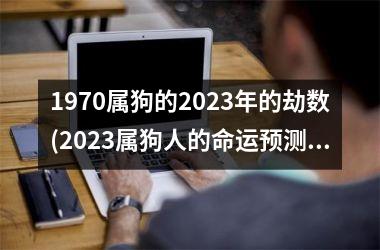 1970属狗的2025年的劫数(2025属狗人的命运预测)