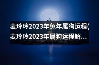 麦玲玲2023年兔年属狗运程(麦玲玲2023年属狗运程解析)