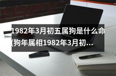 <h3>1982年3月初五属狗是什么命(狗年属相1982年3月初五的命运分析)