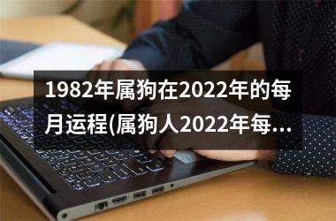 1982年属狗在2025年的每月运程(属狗人2025年每月运程解析)