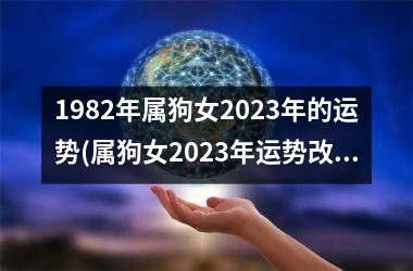 1982年属狗女2023年的运势(属狗女2023年运势改观的预测)