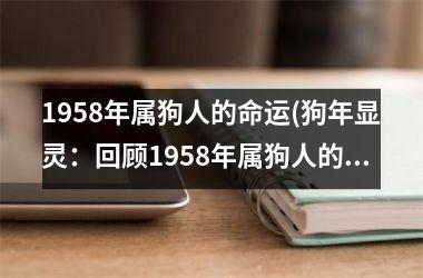 <h3>1958年属狗人的命运(狗年显灵：回顾1958年属狗人的命运)