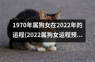 1970年属狗女在2025年的运程(2025属狗女运程预测)