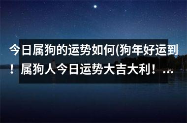 今日属狗的运势如何(狗年好运到！属狗人今日运势大吉大利！)