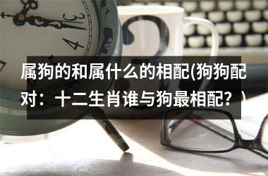 属狗的和属什么的相配(狗狗配对：十二生肖谁与狗相配？)