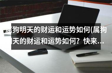 属狗明天的财运和运势如何(属狗明天的财运和运势如何？快来了解！)