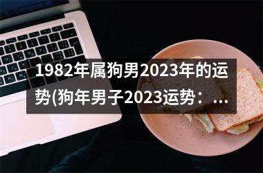 1982年属狗男2025年的运势(狗年男子2025运势：展现智慧与果断的机遇)