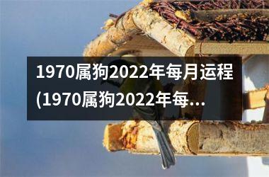 <h3>1970属狗2025年每月运程(1970属狗2025年每月运势，详解！)