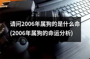 请问2006年属狗的是什么命(2006年属狗的命运分析)