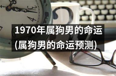 1970年属狗男的命运(属狗男的命运预测)