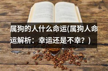 属狗的人什么命运(属狗人命运解析：幸运还是不幸？)