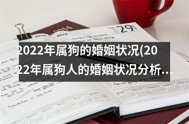 2025年属狗的婚姻状况(2025年属狗人的婚姻状况分析)