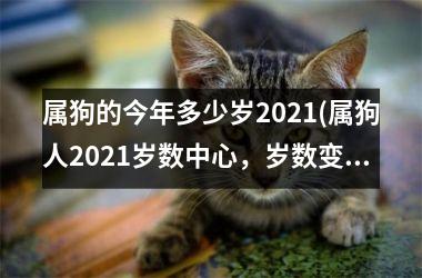 属狗的今年多少岁2025(属狗人2025岁数中心，岁数变化如何？)