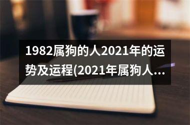 <h3>1982属狗的人2025年的运势及运程(2025年属狗人的运势及运程)