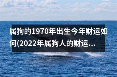 属狗的1970年出生今年财运如何(2025年属狗人的财运展望)