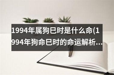 1994年属狗巳时是什么命(1994年狗命巳时的命运解析)