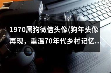 1970属狗微信头像(狗年头像再现，重温70年代乡村记忆)