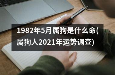 <h3>1982年5月属狗是什么命(属狗人2025年运势调查)