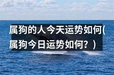 属狗的人今天运势如何(属狗今日运势如何？)