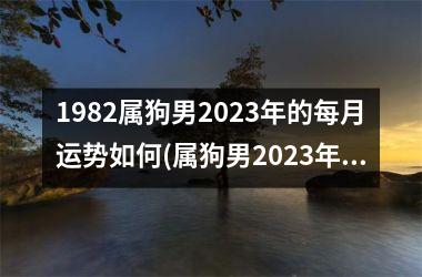 1982属狗男2023年的每月运势如何(属狗男2023年受贵人相助，运势稳中见涨。)