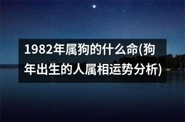 1982年属狗的什么命(狗年出生的人属相运势分析)