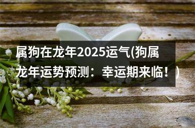 属狗在龙年2025运气(狗属龙年运势预测：幸运期来临！)