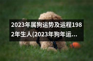 2025年属狗运势及运程1982年生人(2025年狗年运势：1982年生肖属狗的你运程详解)