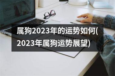 属狗2025年的运势如何(2025年属狗运势展望)