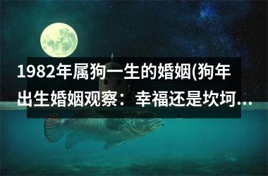 1982年属狗一生的婚姻(狗年出生婚姻观察：幸福还是坎坷？)