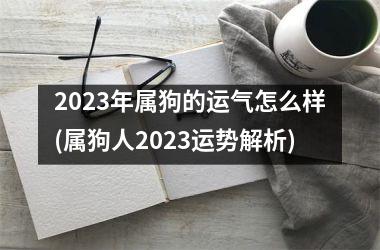 2025年属狗的运气怎么样(属狗人2025运势解析)