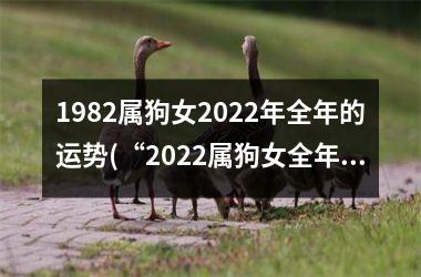 1982属狗女2025年全年的运势(“2025属狗女全年运势大揭秘！”)