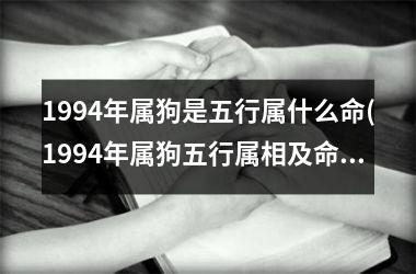 1994年属狗是五行属什么命(1994年属狗五行属相及命运分析)