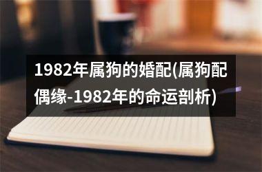 <h3>1982年属狗的婚配(属狗配偶缘-1982年的命运剖析)