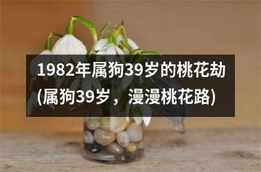 1982年属狗39岁的桃花劫(属狗39岁，漫漫桃花路)