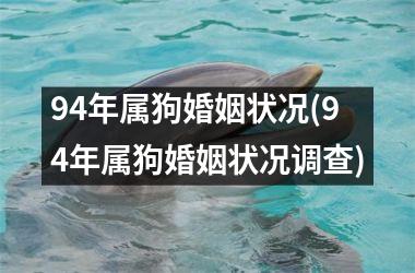 94年属狗婚姻状况(94年属狗婚姻状况调查)