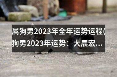 属狗男2025年全年运势运程(狗男2025年运势：大展宏图，财运亨通)