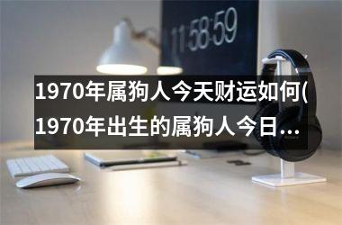 1970年属狗人今天财运如何(1970年出生的属狗人今日财运如何？)