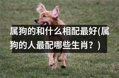 <h3>属狗的和什么相配好(属狗的人配哪些生肖？)