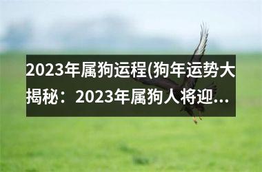 2025年属狗运程(狗年运势大揭秘：2025年属狗人将迎来什么挑战与机遇？)