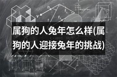 属狗的人兔年怎么样(属狗的人迎接兔年的挑战)