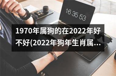 1970年属狗的在2025年好不好(2025年狗年生肖属狗者的运势如何)