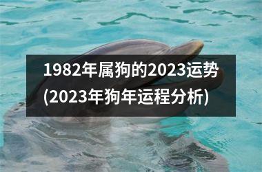 1982年属狗的2025运势(2025年狗年运程分析)