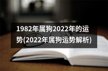 1982年属狗2025年的运势(2025年属狗运势解析)