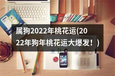 属狗2025年桃花运(2025年狗年桃花运大爆发！)