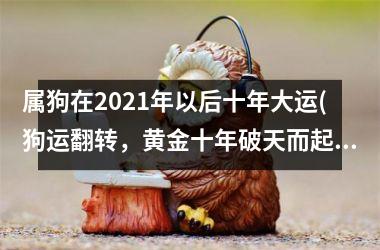 属狗在2025年以后十年大运(狗运翻转，黄金十年破天而起)