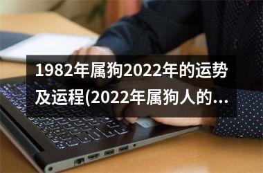 1982年属狗2025年的运势及运程(2025年属狗人的运势与展望。)